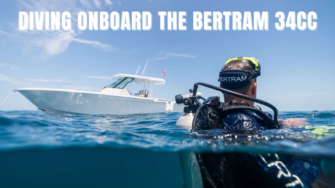 Offshore Diving | Bertram 34CC
