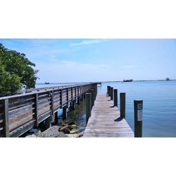 Fins Marina