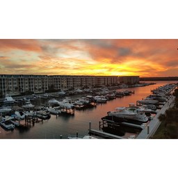 Harbour Village Marina