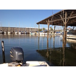 Island Harbor Marina