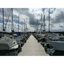 Julington Creek Pier 3 Marina and Dry Storage