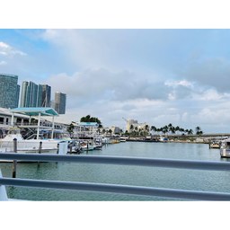 Miamarina at Bayside