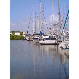 Windward Adventure Yacht Harbor